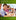 Microsoft 365 Excel Expert