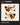 Adobe Illustrator Classroom in a Book (2025 Release)