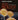 Microbiology with Diseases by Taxonomy