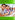 Microsoft 2024 Excel Associate