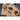 Alternate-Image16 Image for Jabra Evolve2 Earset