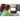Life-Style Image for Asus Chromebook CR11 CR1104CGA-YZ42T 11.6" Rugged Chromebook - HD - Intel N-Series N100 - 4 GB - 32 GB Flash Memory - Mineral Gray