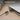 Alternate-Image1 Image for Logi USB-A to USB-C Adaptor, USB adaptor, graphite