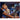Alternate-Image5 Image for Asus ProArt PA32QCV 32" Class 6K LED Monitor - 16:9