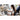 Alternate-Image4 Image for Microsoft Surface Pro (12th Edition) Tablet - 13" - vPro Technology - 16 GB - 256 GB SSD - Platinum