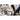 Alternate-Image16 Image for Microsoft Surface Pro (12th Edition) Tablet - 13" - vPro Technology - 32 GB - 256 GB SSD - 5G - Platinum