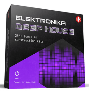 IK Multimedia SampleTank Deep House Sound Library